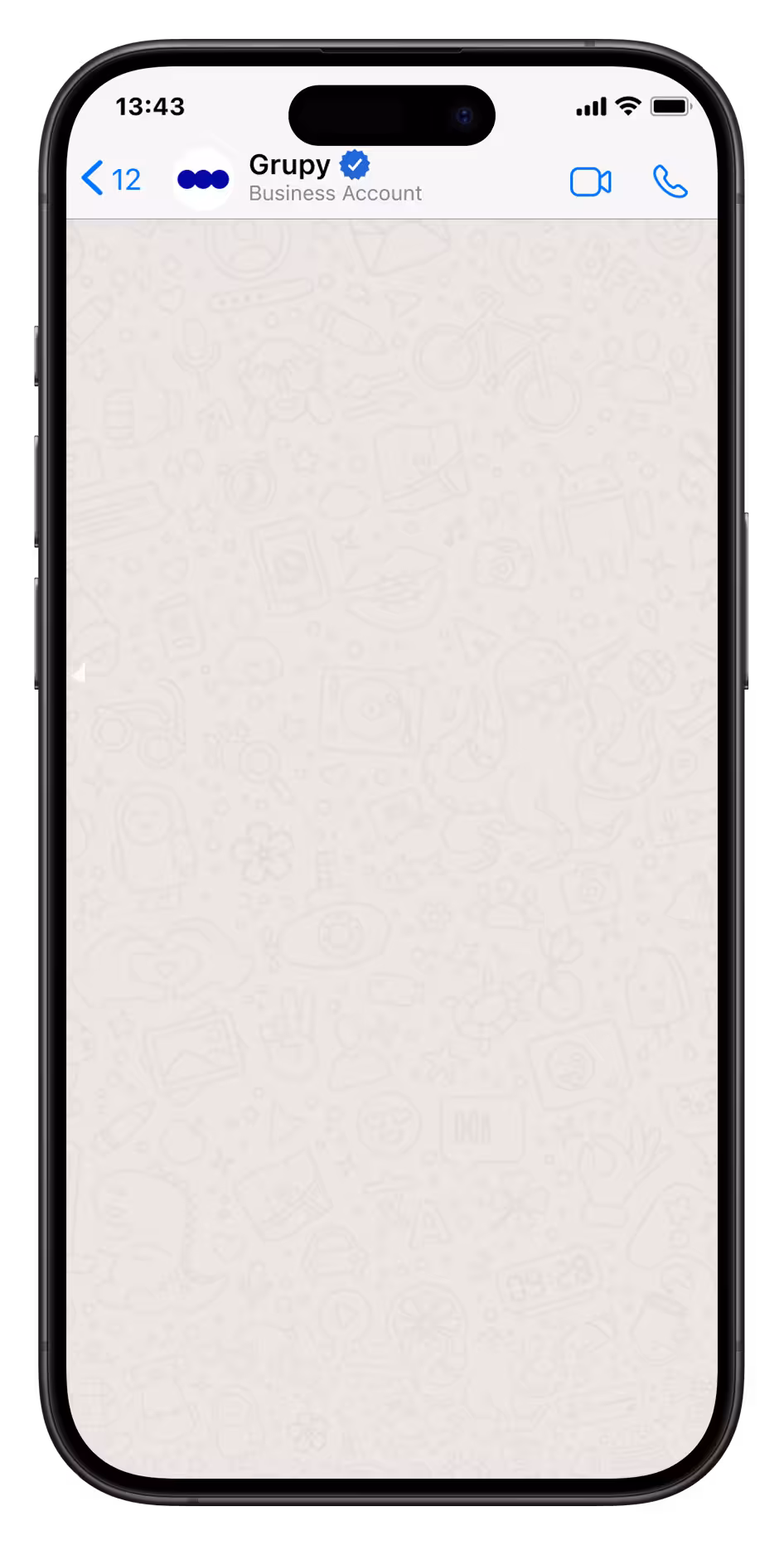 WhatsApp Chat Screenshot